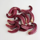10pcs Fake Octopus Tentacle Seafood Model for Home Kitchen Party Decoration