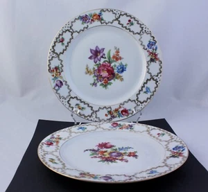 SET OF 2 SCHUMANN BAVARIA THE MEISSEN 10" DINNER PLATES – MINT - Picture 1 of 7