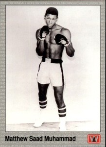 1991 AW Sports ALL WORLD BOXING PREMIER EDITION * Your Choice * ALI * HAGLER ++