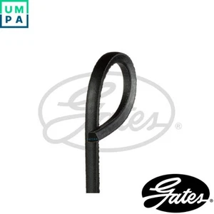 VBELT AV17X1800HD FOR LANCIA 46412207 - Picture 1 of 7