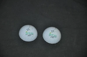 DISNEY WORLD-NATIONAL CAR RENTAL GOLF CLASSIC 2001--2 MAGNETS-GOLF BALLS-NEW - Bild 1 von 2