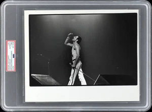 Freddie Mercury Early 1980s Original Vintage Type 1 Concert Photo PSA 26637 - Picture 1 of 2
