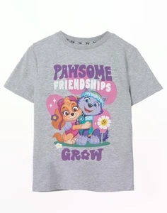 Camiseta Paw Patrol Gris Pawsome Friendships Manga Corta Unisex Niños - Imagen 1 de 25