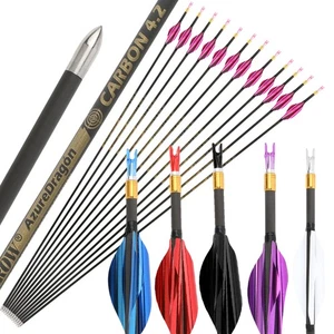 6/12X Pure Carbon Arrow SP700-1000 Spiral Feather Recurve Compound Bow Hunting - Picture 1 of 22