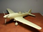 1/32 Ilyushin Il-10 " Beast "  – Limited edition resin kit