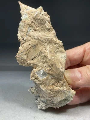 SS Rocks - Stevensite "Pseudomorph of Pectolite" (Paterson, New Jersey) 136g - Image 1 of 4