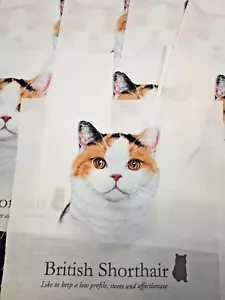 9 Britisch Kurzhaar Katze 8 x 8 Zoll Stoff Quilt Quadrate oder Kissen - Bild 1 von 10