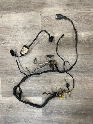 Yamaha XT500 XT 500 1980 arnés de cables eléctrico bobina Foto 1 de 2