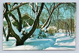 Snow-Wisconsin Greetings Postcard JB1048 Unposted - Picture 1 of 2