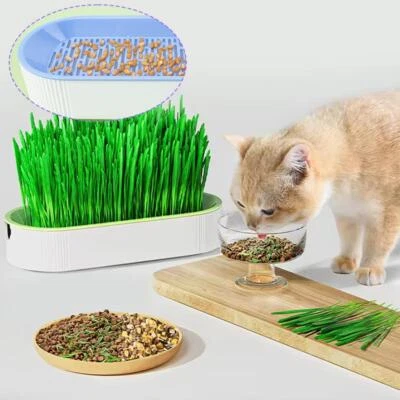 Cat Grass Planting Box Plant Growing Kit Hydroponic Soil-Free Cat Planter. Y5X1 - Image 1 of 4