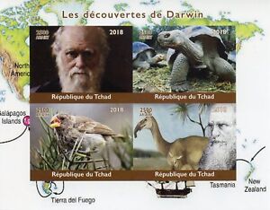 Chad 2018 MNH Charles Darwin 4v IMPF M/S Animals Turtles Finches Birds Stamps
