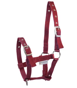 Halfter Strick Set Fohlenhalfter, Halfter Fohlen, Ponys Anbindestrick weinrot - Bild 1 von 2