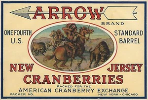 SELTENES ALTES ORIGINAL 20ER JAHRE INDIANER "PFEILMARKE" CRANBERRIES KISTE ETIKETT NEW JERSEY - Bild 1 von 1