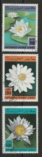 Afghanistan 1997  Ninfee
