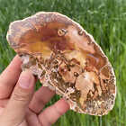 330G  Natural Woodstone Fossil Mineral Specimen Healing Reiki Decor Crystal Gift