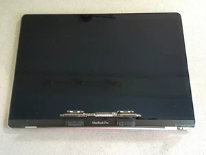 Original Display für MacBook Pro 13" 2018 2019 2020 A1989 A2159 A2251 A2289 Silb - Afbeelding 1 van 11