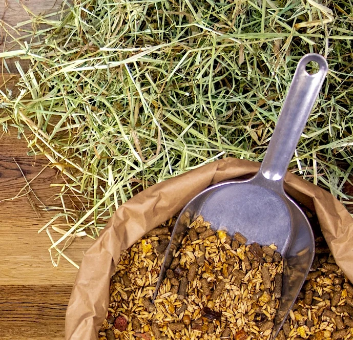 deuka deukavallo Zuchtmüsli mit Hafer 10kg Pferdefutter Müsli Zuchtstuten Fohlen - Bild 1 von 1