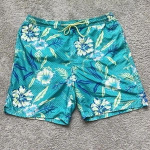 Vineyard Vines Badeanzug Größe Lg Herren blau grün Bademode Pool Strand Reise - Bild 1 von 12