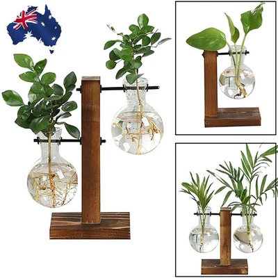 Plants Propagation Station Desktop Bulb Glass Vase With Wooden Stand Hydroponics - image 1 of 4