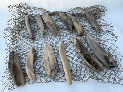 Driftwood Decorative Filler Natural Driftwood 12 Pieces 5-8" Crafting Decor - Image 1 of 4