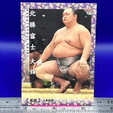 Hokutofuji Daiki 16 Sumo Wrestler Trading Card BBM 2018 TCG Japanese #206a