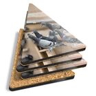 4x Triangle Coasters - Pigeon Hole Pigeons Bird Birds #46036