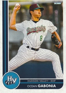 2025 Hudson Valley Renegades Ocean Gabonia New York Yankees - Imagen 1 de 1