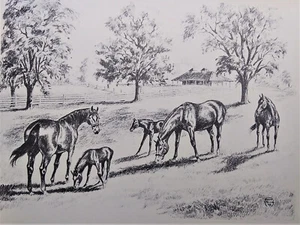 Yeguas y potros en un campo, impresión vintage, Jeanne Mellin, 1953, caballos - Imagen 1 de 5
