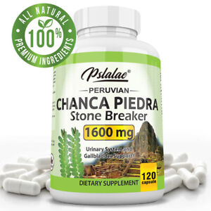 Chanca Piedra Capsules 1600mg - Liver & Kidney Support, Urinary System Health