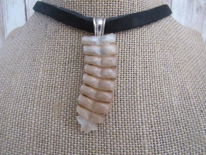 Rattlesnake Rattle Pendant Snake Necklace Spirit Animal Bone Jewelry Boho N6048 - Picture 1 of 5