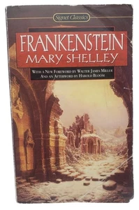 Frankenstein Classic Novel By Mary Shelley Paperback Book 1963 Vintage - Foto 1 di 8