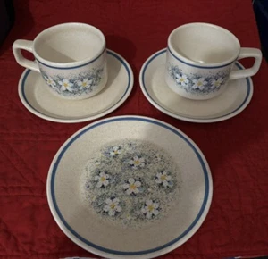 ~Vtg Lenox Temper-Ware Dewdrops Cups/Saucers Floral Blue & One salad plate~ - Picture 1 of 8