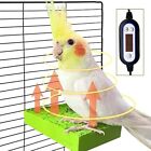 GIFANK Bird Heater for Cage Bird Perch Stand Warmer Snuggle Up for African Gr...