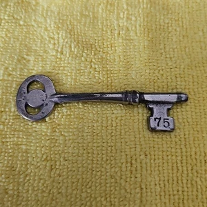 Llave esqueleto vintage niquelada #75 - Imagen 1 de 4