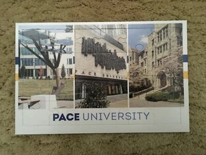 Pace University New York City White Plains Campuses 24 Piece Puzzle 8" x 5" - Picture 1 of 1