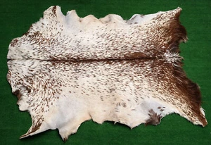 New Goat hide Rug Hair on Area Rug Size 38"x26" Animal Leather Goat Skin U-1907 - Picture 1 of 3