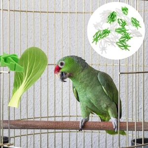 20 Stück Tintenfischhalter für Vogelkäfig Futterhaus Obst Gemüse Spieß - Bild 1 von 20