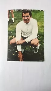 Alan Mullery Tottenham Hotspur & England 1970 German Bergmann-Verlag WC Card - Picture 1 of 2