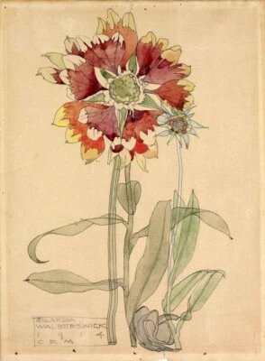 Gaillardia de Charles Rennie Mackintosh, 1914 - Estampado floral Art Nouveau Foto 1 de 2
