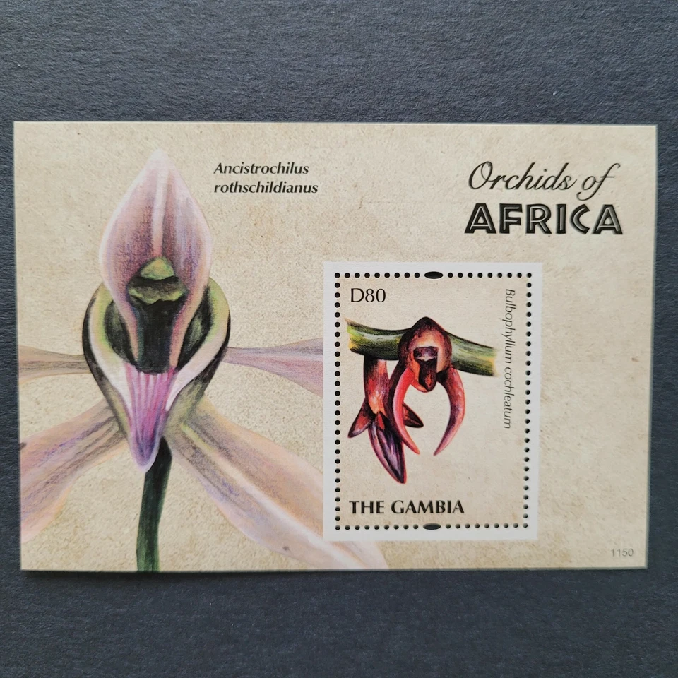 Gambia 2011 / Flores - Orquídeas de África / 1v ms mnh* Foto 1 de 1