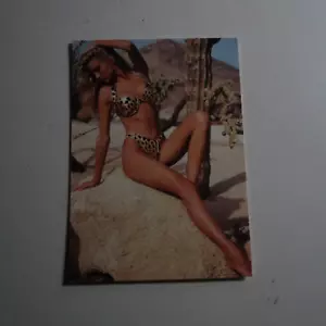 1993 UJENA SWIMWEAR ILLUSTRATED EDITION PROMO CARD - Picture 1 of 2