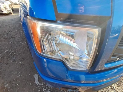 Пассажирская галогенная фара King Ranch подходит для пикапа 09–14 FORD F150 3751078 - Изображение 1 из 4