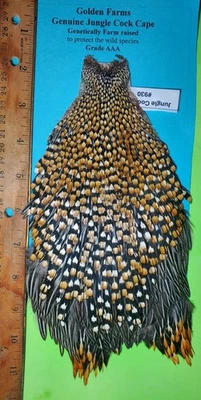 Jungle Cock Cape SUPER AAA  930  USA Only  - Image 1 of 4