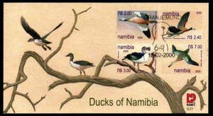 NAMIBIA 2000 Ducks of Namibia First Day Cover - Picture 1 of 1