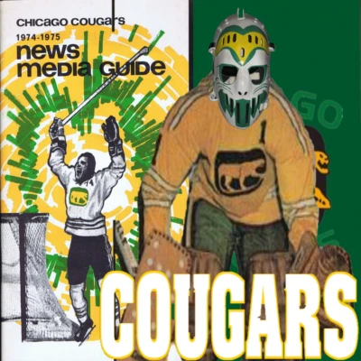 Chicago Cougars Media Guide 1974-1975 + Bonus 1977-78 Chicago Black Hawks Media Foto 1 de 4
