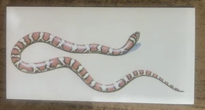 Vintage - 1962 - Gelles Widmer - Reptile CARD -40. Red Milk Snake - Picture 1 of 2