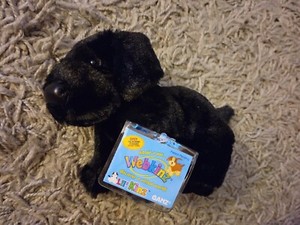 RETIRED WEBKINZ HM136 BLACK LAB LABRADOR PUPPY DOG 8"~NEW WITH SEALED CODE