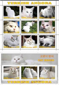 Stamp sheet+block TUrkish Angora Cat 2021 Korea issue - Picture 1 of 1