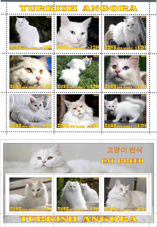 Stamp sheet+block TUrkish Angora Cat 2021 Korea issue - Image 1 of 1
