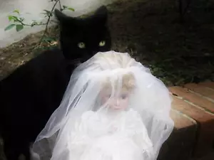 MEET Christina whispering oracle Authentic HAUNTED DOLL attracts CATS Paranormal - Picture 1 of 4